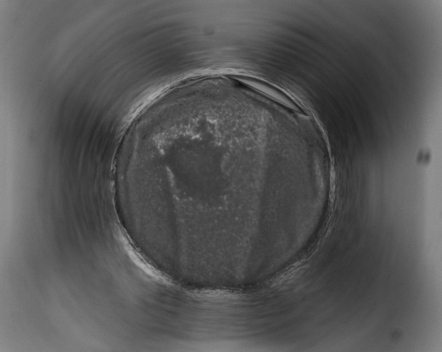 X0000114990389200911231146