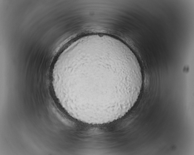 X0000114990390200911231146