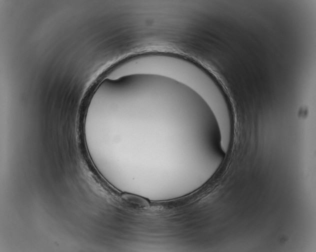 X0000114990391200911231146