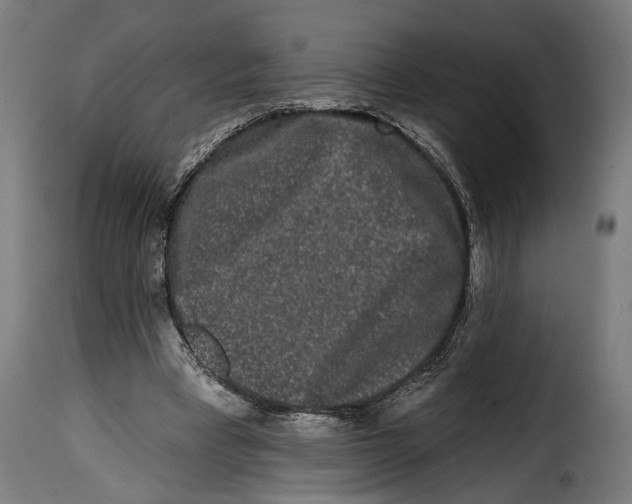 X0000114990393200911231146