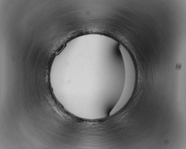 X0000114990401200911231146