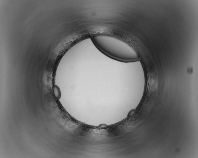 X0000114990403200911231146