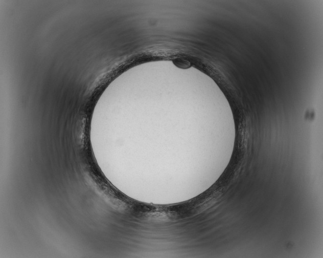 X0000114990404200911231146