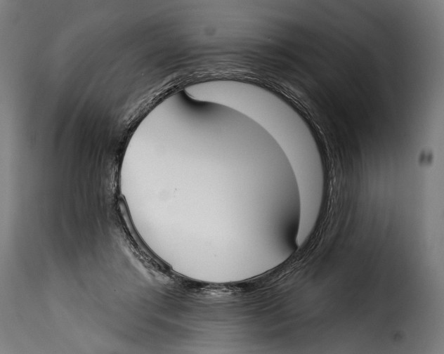 X0000114990405200911231146