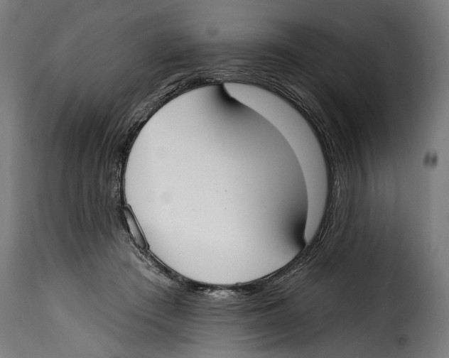 X0000114990409200911231146