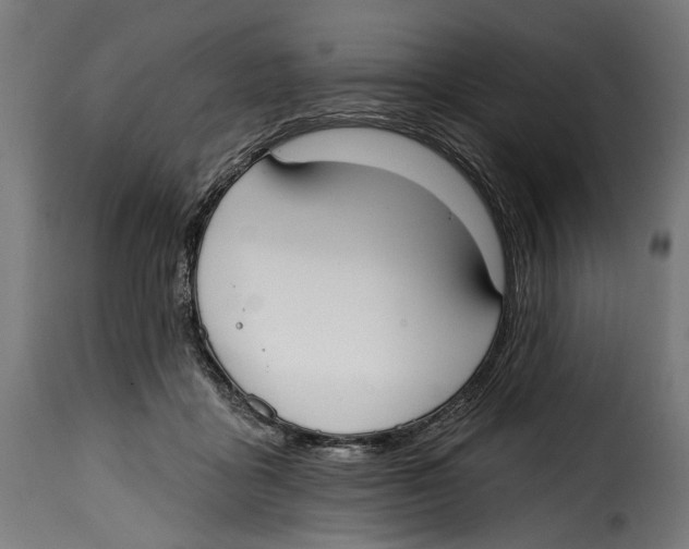 X0000114990411200911231146