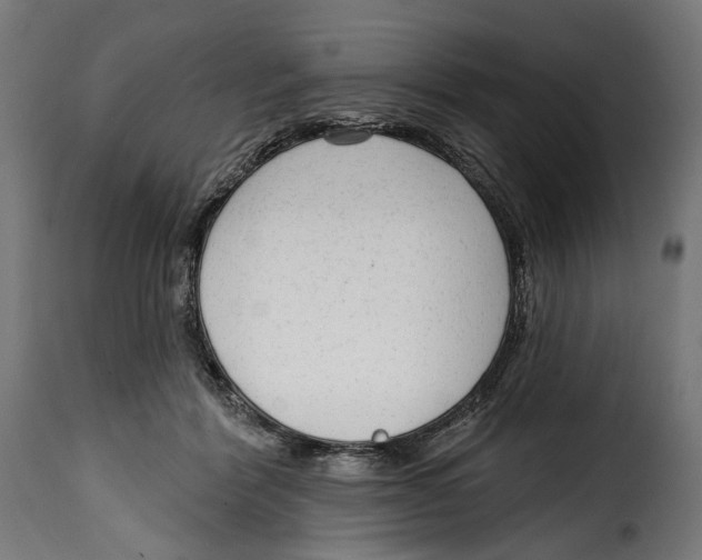 X0000114990412200911231146