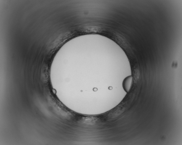 X0000114990414200911231146