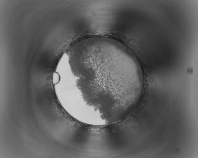 X0000114990415200911231146