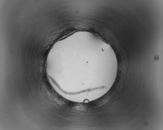 X0000114990416200911231146