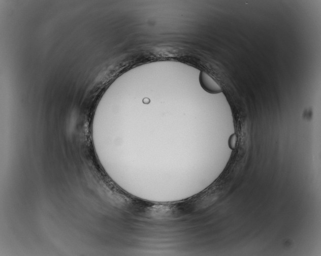 X0000114990418200911231146