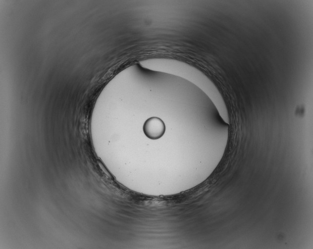 X0000114990419200911231146