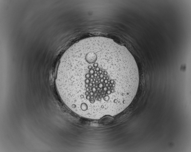 X0000114990420200911231146