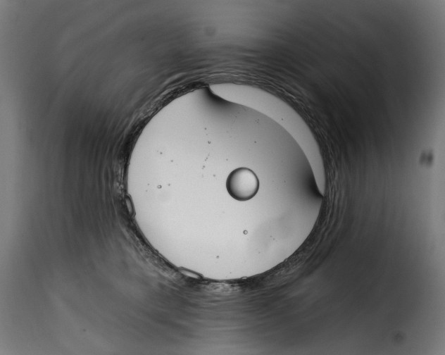 X0000114990421200911231146