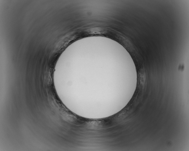 X0000114990422200911231146