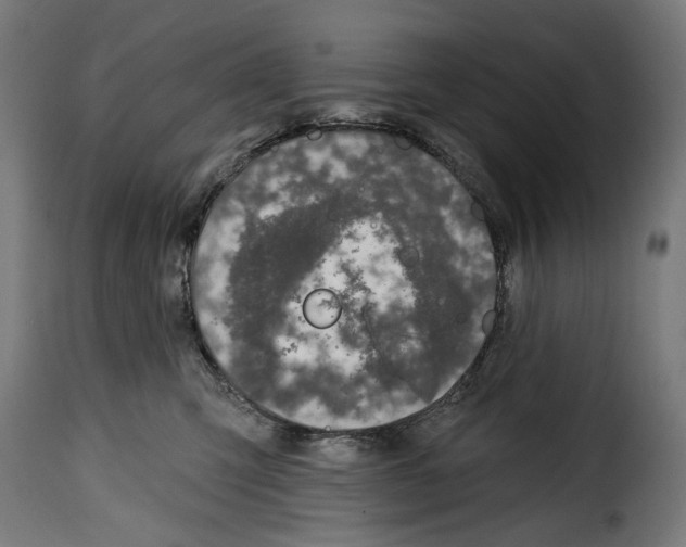 X0000114990423200911231146