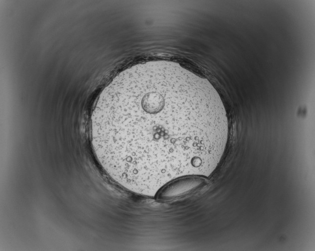 X0000114990424200911231146