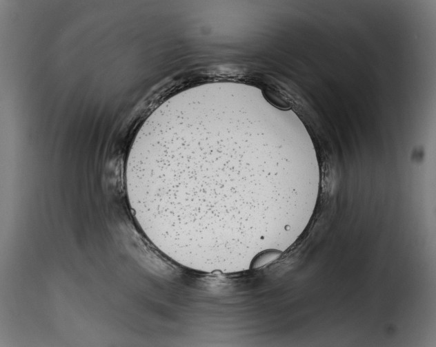 X0000114990425200911231146