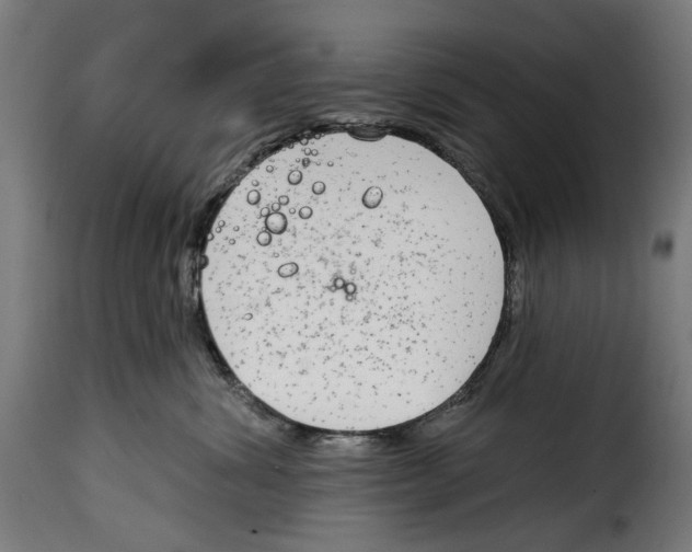 X0000114990428200911231145