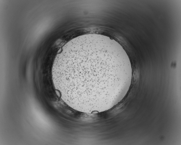 X0000114990429200911231145