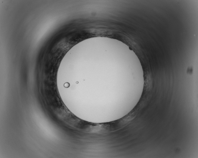 X0000114990430200911231145