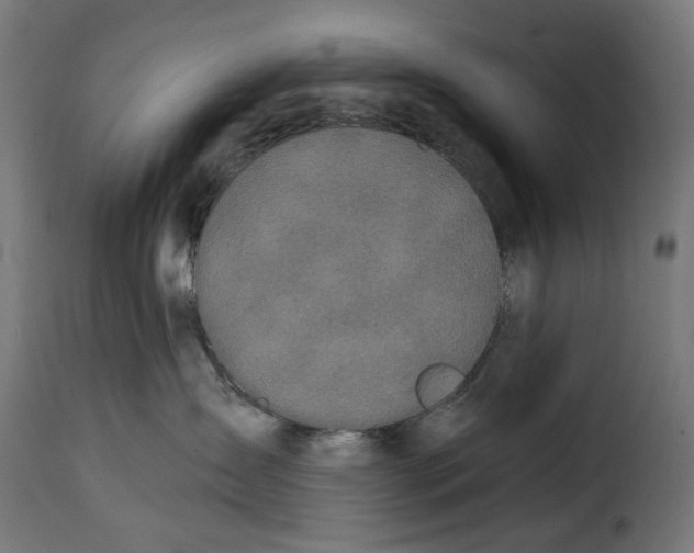 X0000114990431200911231145