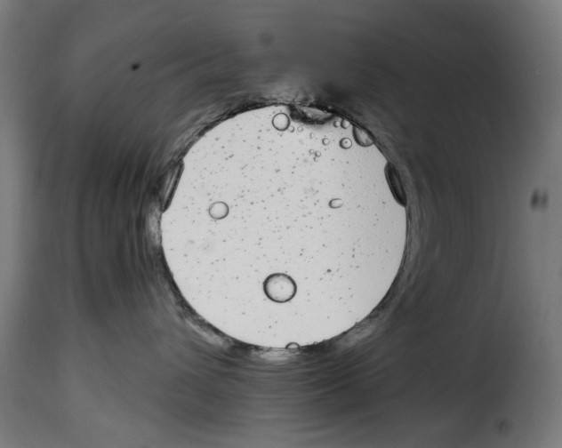 X0000114990432200911231145