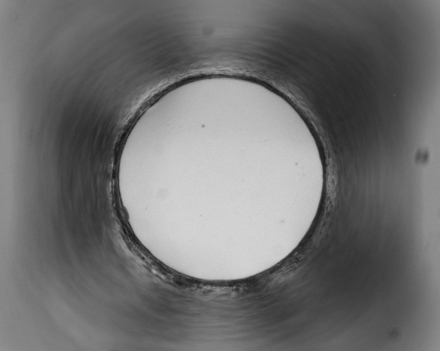 X0000114990434200911231145