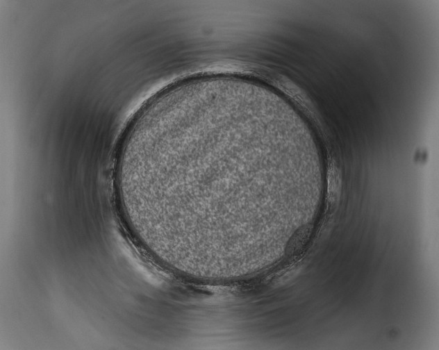 X0000114990436200911231145