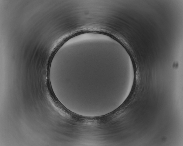 X0000114990438200911231145