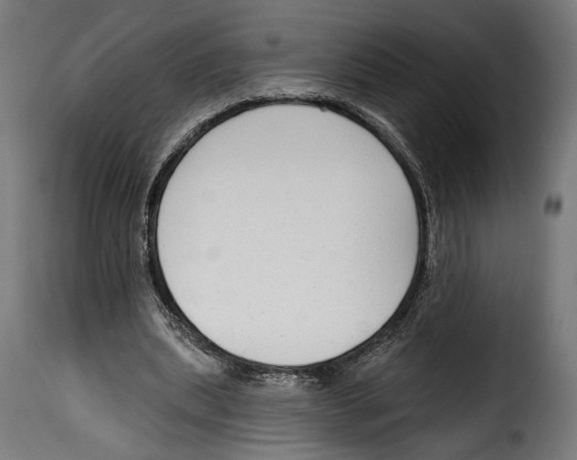 X0000114990439200911231145