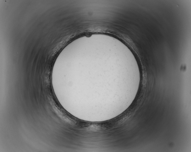 X0000114990441200911231145