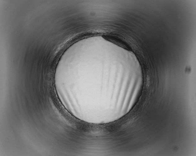 X0000114990444200911231145