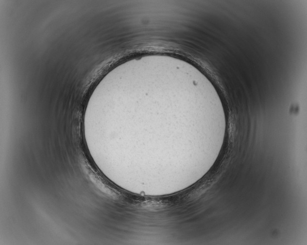 X0000114990445200911231145