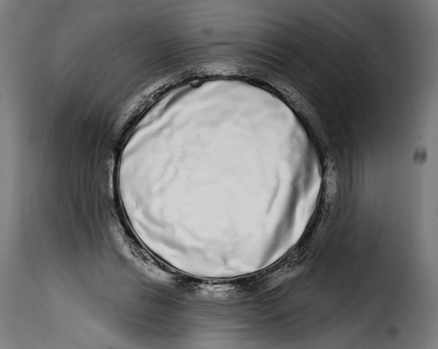 X0000114990446200911231145