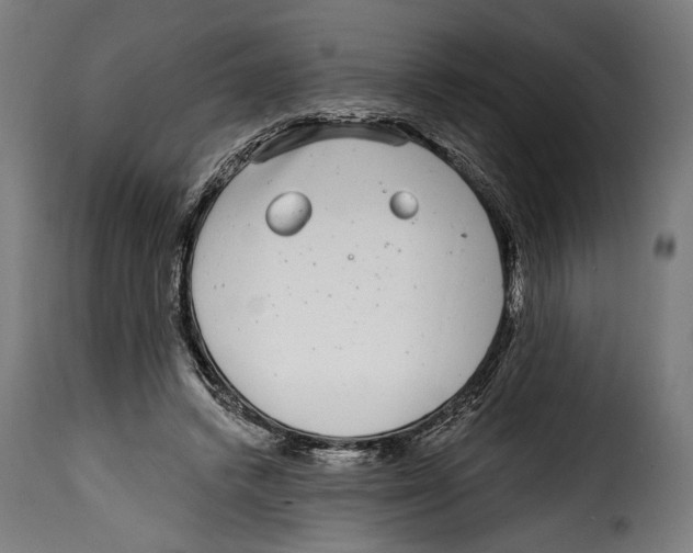 X0000114990448200911231145