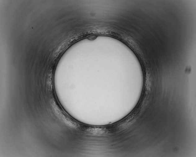 X0000114990449200911231145