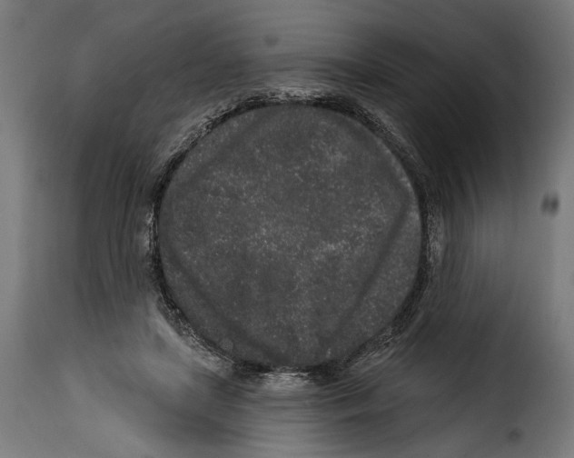 X0000114990451200911231145