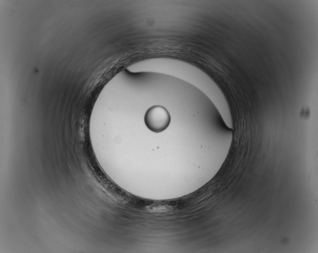 X0000114990452200911231145