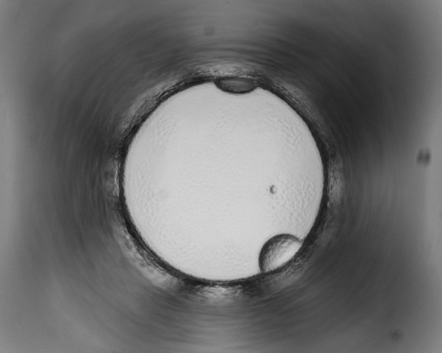 X0000114990453200911231145