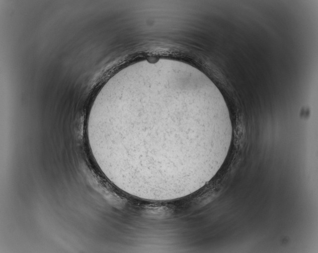 X0000114990454200911231145