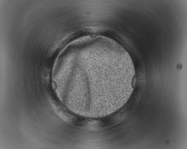 X0000114990456200911231145