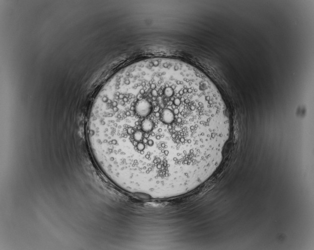 X0000114990457200911231145