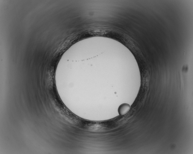 X0000114990460200911231145