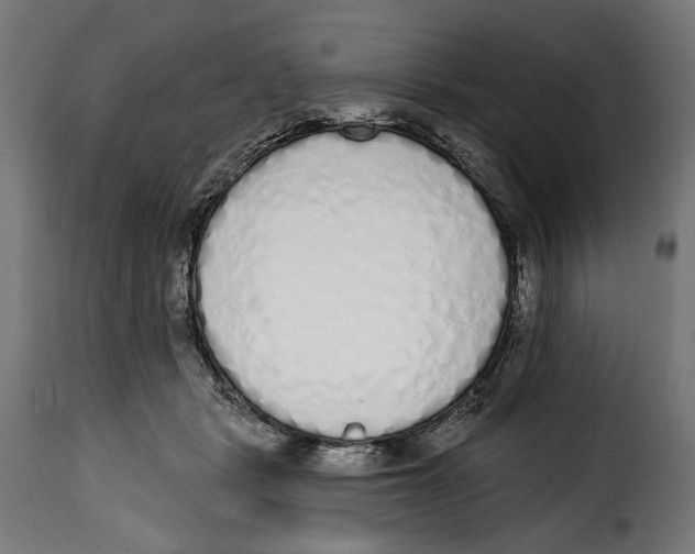 X0000114990461200911231145