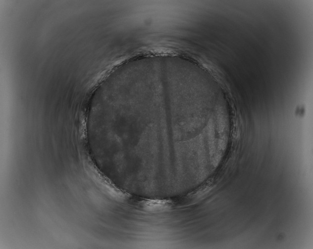 X0000114990465200911231145