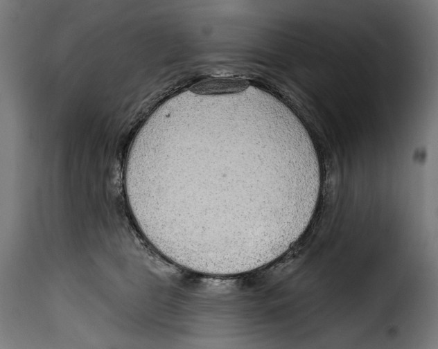 X0000114990469200911231145