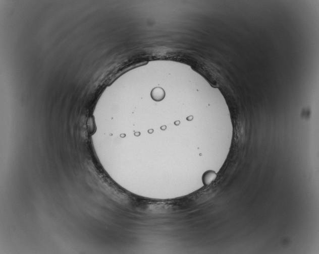 X0000114990470200911231145