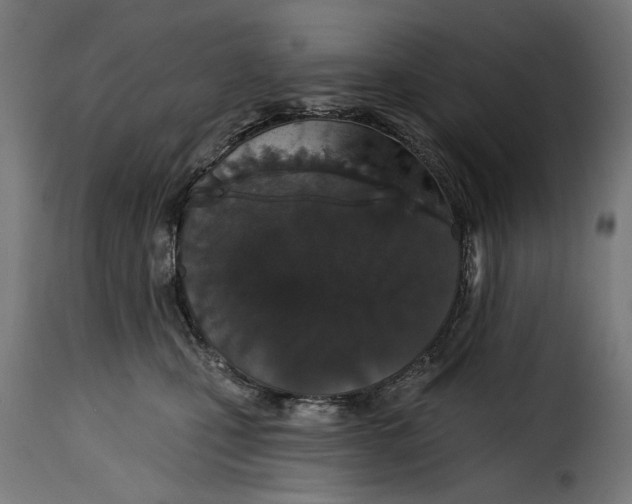 X0000114990471200911231145