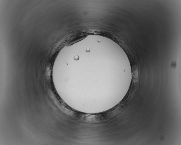 X0000114990472200911231145